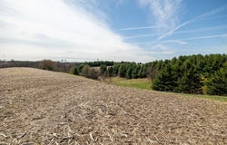 County Road S, Blair, WI 54616