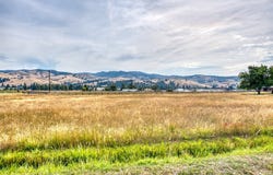 189 Bunkhouse Road, Darby, MT 59829