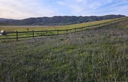Bethel Rd, Horseshoe Bend, ID 83629