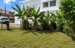 Vega Alta, Vega Alta, PR 00612
