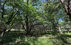 10 +/- Acres, Holt County, Lynch, NE 68746