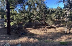 20465 Pine Mountain Drive, Goverland, CA 95321