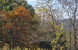 Copper Ridge Road, Eidson, TN 37731