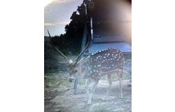 7 SD 52300, Rocksprings, TX 78880