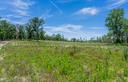 Chad Lake Rd, Alma, GA 31510
