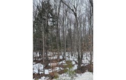 Pup Hill Road, Saranac, NY 12981