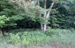 9 MILE ROAD, KALEVA, MI 49645