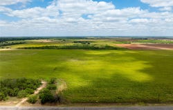 FM 1082 Highway, Hawley, TX 79525