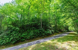 46 Widgeon Way, Whittier, NC 28789