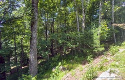 Grandview Dr. Extension, Boone, NC 28607