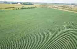3368 Nest Ave, Sheldon, IA 51201