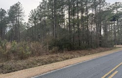 Wall'S Mill Road, Aurora, NC 27806