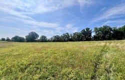 Highway Z Houston, Houston, MO 65483