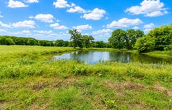 8401 S Fm 148, Scurry, TX 75158