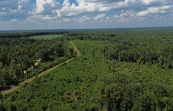 Harvest Road, Midway, AL 36053
