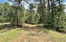 Highway 84, Roxie, MS 39661