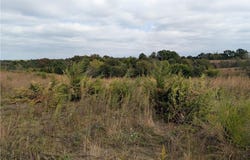 E 280th Street, Ridgeway, MO 64481