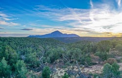 Road 20, Cortez, CO 81321