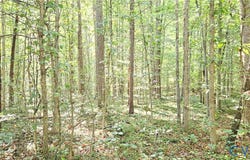 9-A-61 Springfield Road, Meherrin, VA 23954