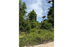 FOLKLORE DR, SATSUMA, FL 32189