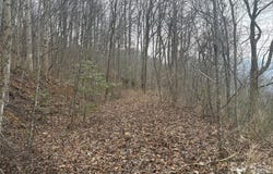 Country Club Drive, Whittier, NC 28789