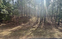 Mustang Drive lot: 49, Clinton, AR 72031
