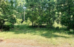 NE Pipeline Lane, Sontag, MS 39665