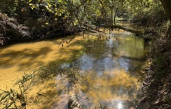Belle Gardner Road, Amite, LA 70422