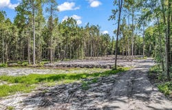 Coats Rd. lot: 1, Loris, SC 29569