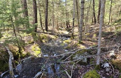 Turkey Cove Road lot: #4, Saint George, ME 04860