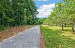 34166 BRADFORDS NECK RD, MELFA, VA 23410