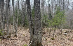 153 Acre, Negaunee, MI 49866