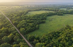 0001 N 4220 Rd, Finley, OK 74743