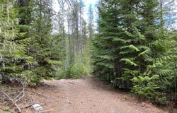 97 Mineral Ln, Sandpoint, ID 83864
