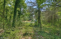 Thacker Lane, Etowah, TN 37331
