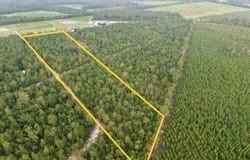 Charleston Highway, Williston, SC 29853