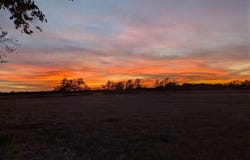 705 County Road 201, Marlin, TX 76661