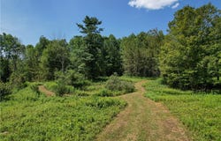 Red Kill Road, Fleischmanns, NY 12430