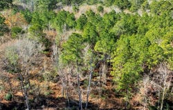110 Yaupon, Lufkin, TX 75904
