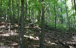LOT 320 RIDGE RUN, CLAYSBURG, PA 16625