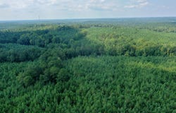 Tower Road, Franklin, GA 30240