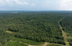 Wilkerson Road, Fayette, AL 35555