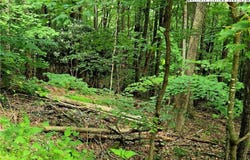 Red Fox Ridge, Boone, NC 28607