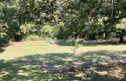 451 Lord Lane, Mountain View, AR 72560