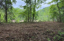 20124 N. Highway 23, Ozark, AR 72949