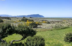 856 NEACOXIE Blvd, Gearhart, OR 97138