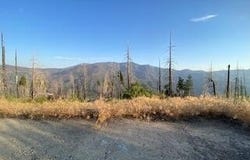 52905 Alpine Drive, Springville, CA 93265