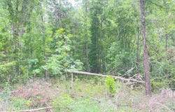 First St, Eden, NC 27288