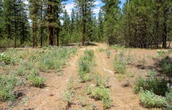 2300 EAGLE RIVER Way, KETTLE FALLS, WA 99141