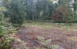 Beaver Road, Bitely, MI 49309